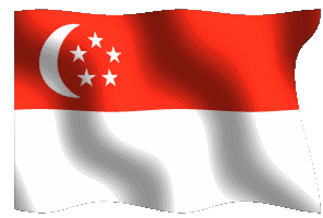singaflag